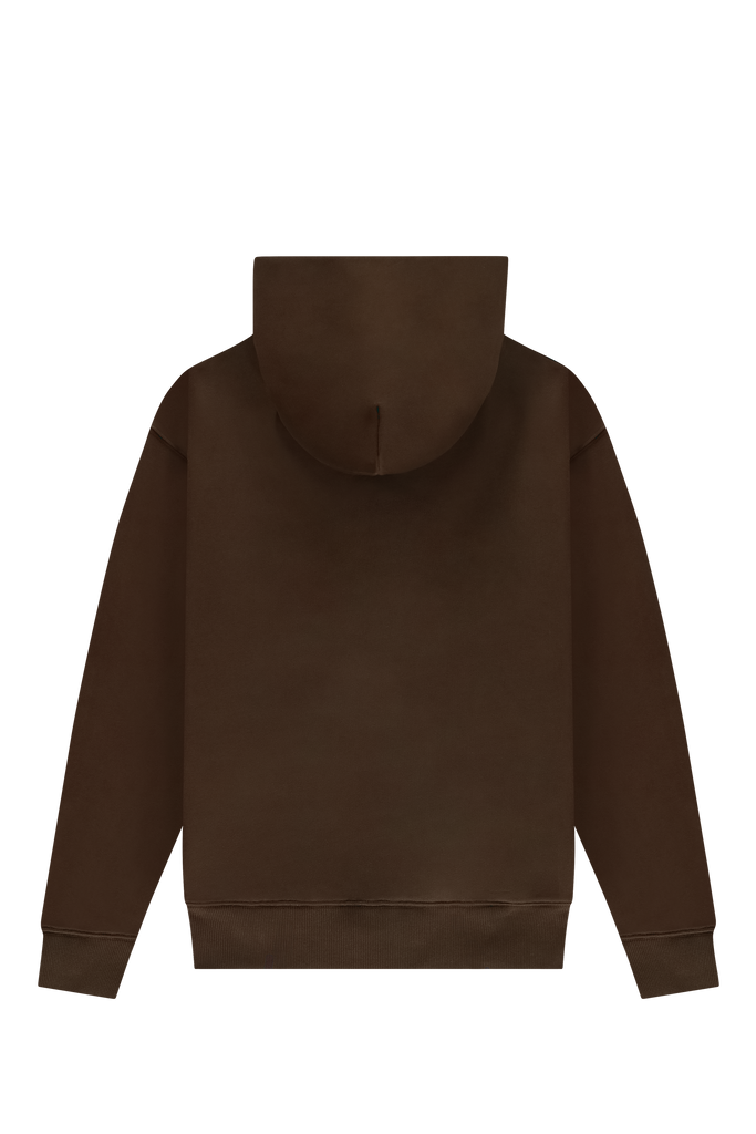 Big Logo Zip Up Hoodie Acid Brown