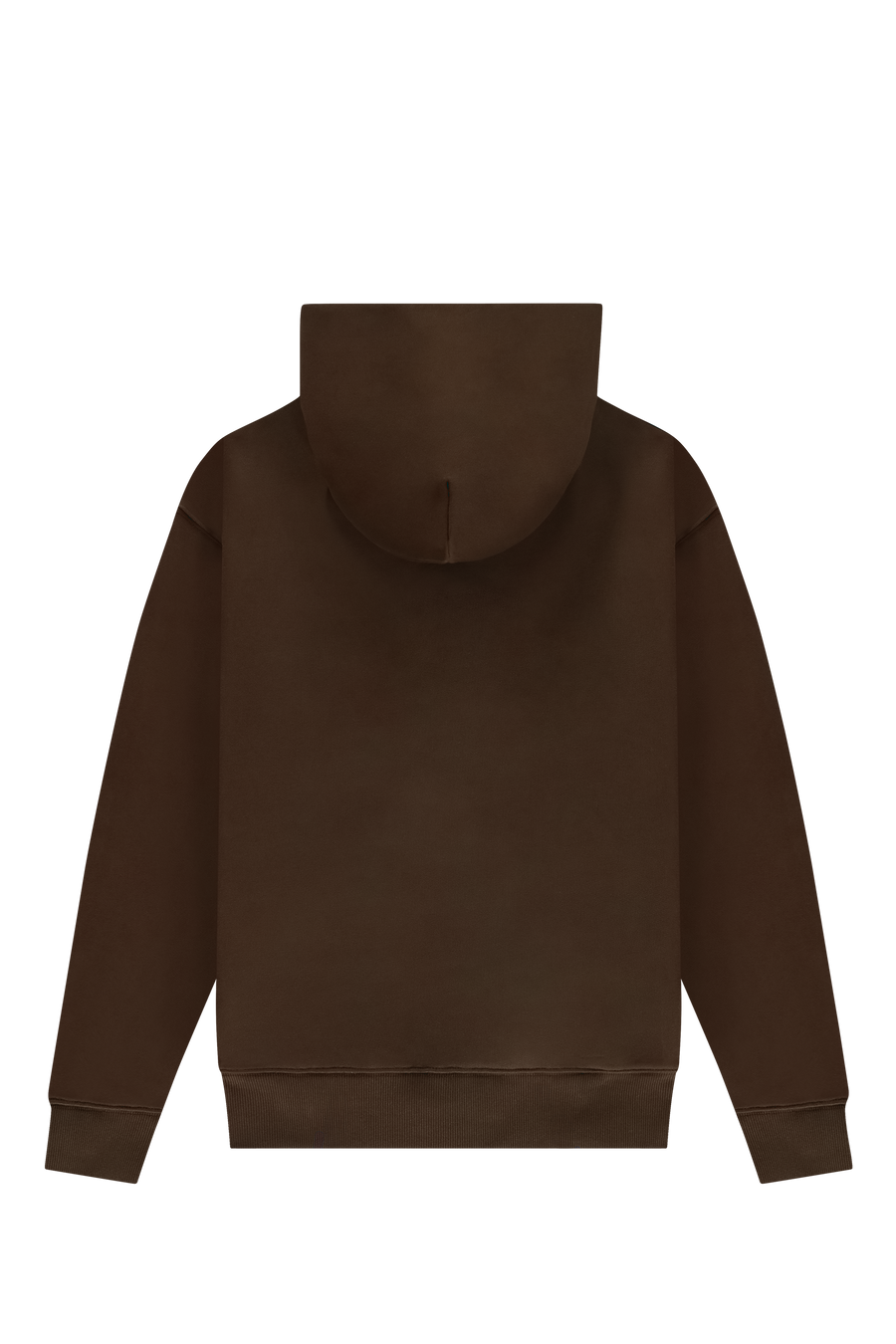 Big Logo Zip Up Hoodie Acid Brown Back-2