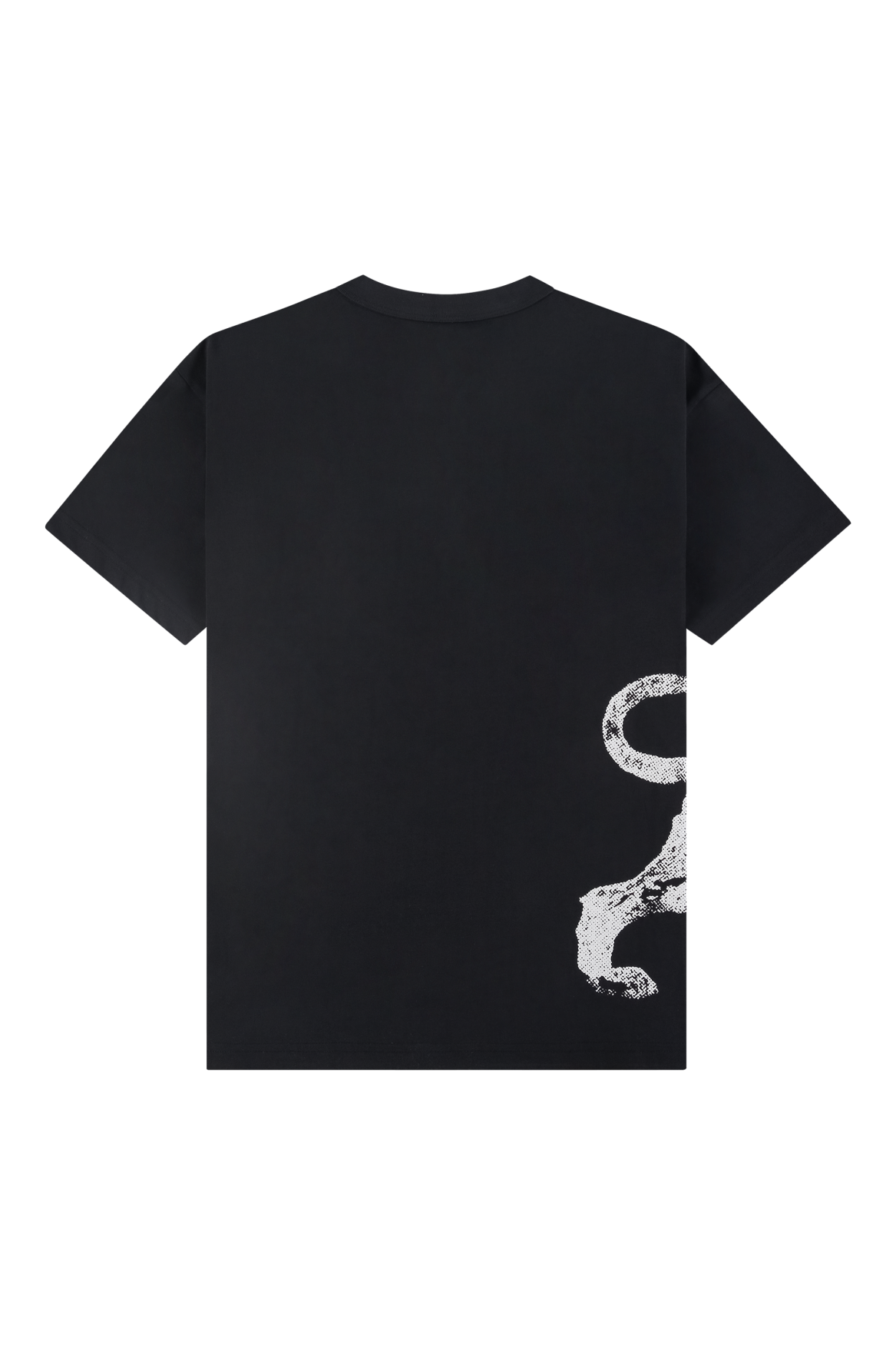Lion Tee Black | Black